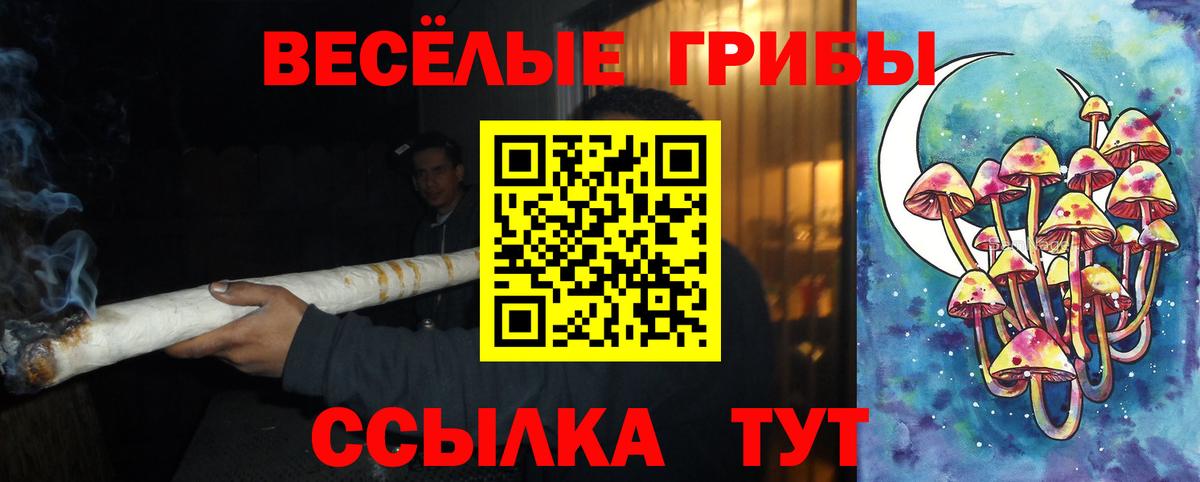 Коммунар  Псилоцибиновые грибы Cubensis  Вход с VPN  Псилоцибиновые грибы Psilocybine cubensis 